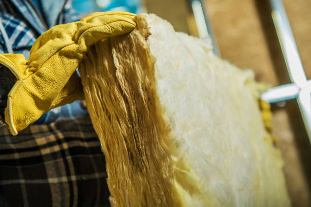 Best Eco-Friendly Insulation in Eaton, CO