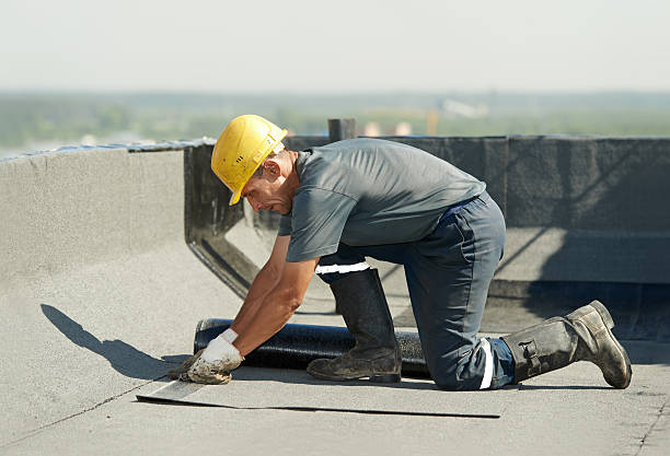 Best DIY Insulation Kits and Guidance in Eaton, CO
